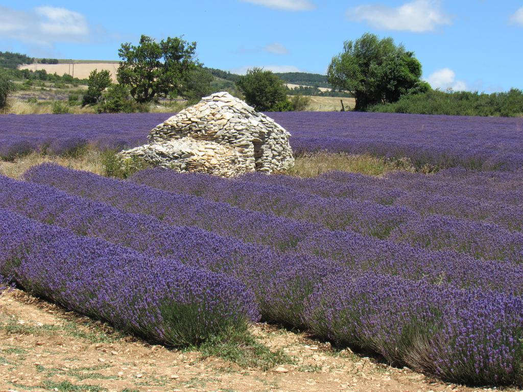 Residence De Gites La Sidoine Du Mont-Ventoux 크리용 르 브라브 외부 사진